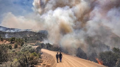 Forest fires rage in Morocco's northern region of Ksar Sghir. AFP