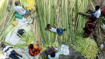 Vendors gather coconut leaves to be sold for decorations at a wholesale market during the Hindu 'Durga Puja' festival in Chennai, India. AFP