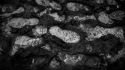 Ukrainian soldiers leave boot prints in the wet mud on the front line at Zaitsevo in Eastern Ukraine. Photo by Alex Masi.