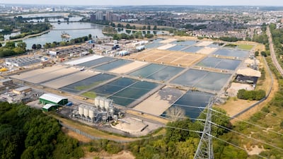 Low water levels at Walthamstow Wetlands, London. EPA