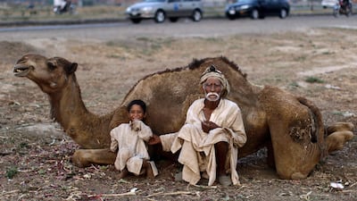 Pakistani Allah Ditta Jandool, 76, right, who sells camel milk, tickles his grandson Nasser, 7, while waiting for customers, on a roadside on the outskirts of Islamabad, Pakistan, Thursday, July 5, 2012. (AP Photo/Muhammed Muheisen)