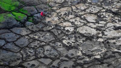 A man collects seaweed from the rocks near the Bitoujiao Cape in Rueifang District, in New Taipei City. AFP