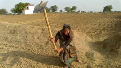 They dig wells and ponds, and construct small reservoirs to harvest rainwater