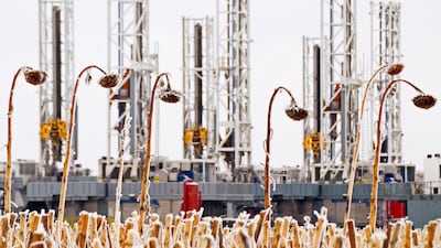 Oil rigs in North Dakota. US output has surged by more than 8 million bpd since 2015, the IEA say. Reuters