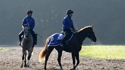 Japanese horse Orfevre, right, trots on a training field, in Chantilly, west of Paris. AP Photo