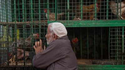 A vendor fetches a live chicken from a cage in the Nasr city district of Cairo. Bloomberg