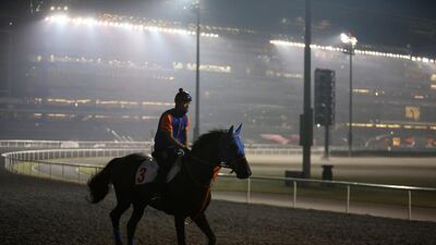 Belshazzar gallops on the new dirt track surface at the Meydan Racecourse in Dubai during the morning session on Wednesday. Pawan Singh / The National