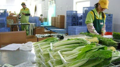 Workers package organic foods at an Organic Farms facility north of Beijing. Daniel Bardsley / The National