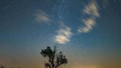 The first half of August is traditionally the best time to look out for meteors or Perseids, dust particles of a comet tail associated with comet Swift-Tuttle. Lukasz Ogrodowczyk / EPA