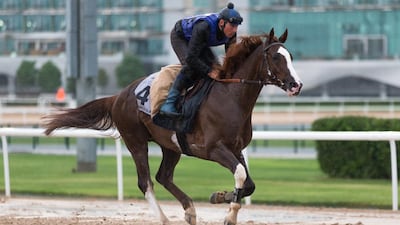 Handassa has been impressing his work-rider Doric Binot in Meydan this week. Courtesy Neville Hopwood, Dubai Racing Club
