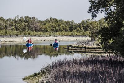 Abu Dhabi’s mangroves. Alex Atack for The National.