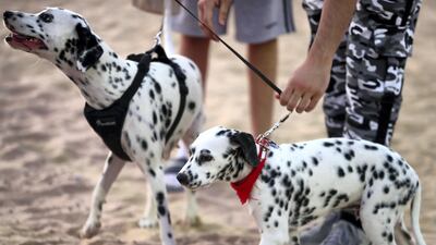 People with their dogs at the official opening of Central Bark in Damac Akoya Oxygen in Dubai.