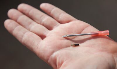 A small chip is implanted under a pet's skin, with the owner's details stored in a database. The National