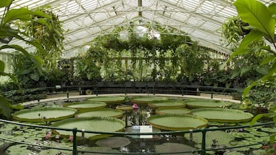 The Waterlily House at Royal Botanic Gardens, Kew in Surrey, UK. Courtesy Royal Botanic Gardens, Kew