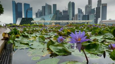 In top-ranked Singapore, the earnings potential was 88 per cent of potential. DPA
