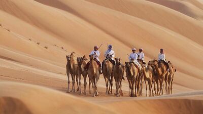 Television audiences have been captivated by the BBC series Wild Arabia and now viewers in the UAE will have the chance to see what all the fuss is about. Courtesy BBC