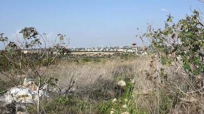 The West Bank barrier built by Israeli authorities is seen from shrubland on the edge of Oranit settlement. Rosie Scammell for The National