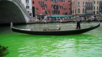 A gondolier propels a gondola along a patch of phosphorescent green liquid. EPA