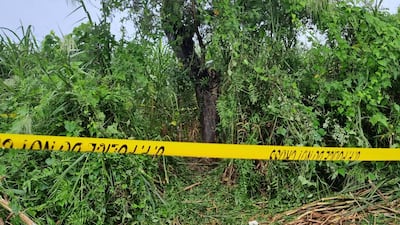 A crime scene tape cordons off a tree where the bodies of two teenage girls were found hanging after they were allegedly raped. AP