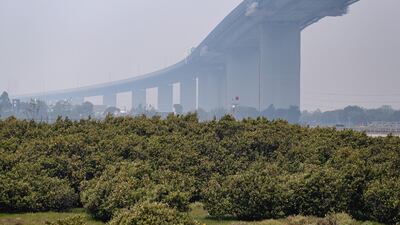 The West Gate bridge is shrouded in smoke as hazardous air quality and bushfire smoke blankets the city in Melbourne, Australia. Getty