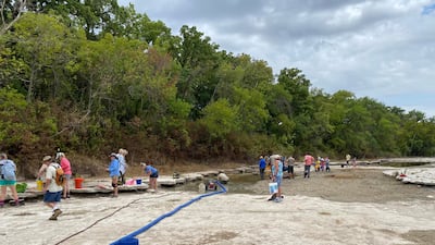 Under normal river conditions, these newer tracks are underwater and filled with sediment, making them not as visible. Photo: Dinosaur Valley State Park