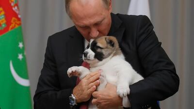Russian President Vladimir Putin kisses a Turkmen shepherd dog, locally known as Alabai, presented by Turkmenistan's President Gurbanguly Berdimuhamedov during a meeting in Sochi, Russia. Maxim Shemetov / Reuters