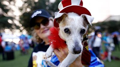 Pet influencer Kathi Welch holds her dog Lucy for a photo.
