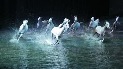 A study of the relationship between man and horse, Cavalia at Qasr Al Hosn - an innovative multi-disciplinary production created by Normand Latourelle, one of the co-founders of Cirque du Soleil - will be performed in a series of shows from February 22 to March 1. Courtesy Seven Media