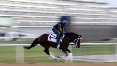 A picture taken with a slow shutter speed shows a jockey riding Mshawish, a racehorse from the USA trained by Todd Pletcher on the track at the Meydan Racecourse during preparations for the Dubai World Cup 2016 in Dubai, United Arab Emirates, 23 March 2016. The 21st edition of the Dubai World Cup will take place on 26 March 2016. EPA/ALI HAIDER