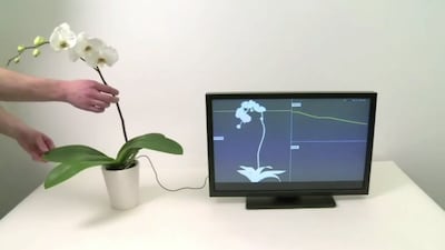 Using sensors and an AI platform called Newton, Archetype AI hopes to enhance millions of everyday objects. Photo: TED Talks / Archetype AI