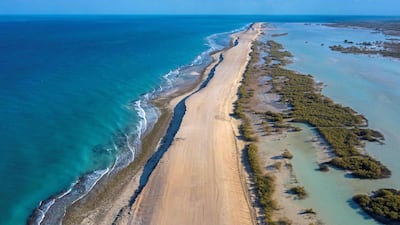 Sir Bani Yas Island in Abu Dhabi is the UAE’s largest natural island. It's home to three Anantara resorts which are set to reopen on February 1. All images courtesy Anantara