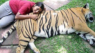 Ismat Abidi gets her picture taken with one of the big cats at Tiger Kingdom in Chiang Mai, Thailand.