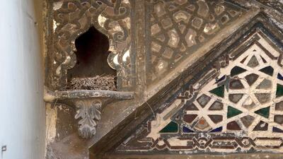 A birds nest inside a 19th century building located near the Taz Palace in Islamic Cairo. Co-owner Shahira Mehrez would like to turn the structure into a boutique hotel but faces many challenges. Dana Smillie for The National