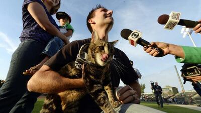 Mr Triantafilo eventually helped the cat throw the pitch as he held her in his arms.