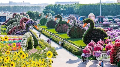 Courtesy Dubai Miracle Garden