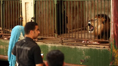 Egypt's Giza Zoo will be transformed, starting next month. Victoria Hazou