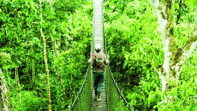 The Inkaterra Reserva Amazónica Lodge in Peru. Courtesy Inkaterra
