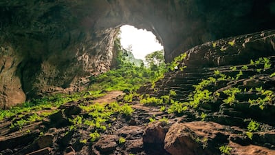 Inside Pygmy Cave. Courtesy Jungle Boss
