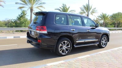 In among the palms. SWP