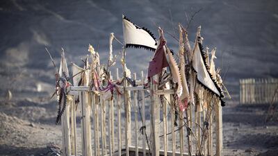 Courtesy Gulf Photo Plus