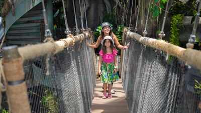 Dubai's indoor rainforest in City Walk has reopened its overnight camping experience for the summer. Photo: The Green Planet