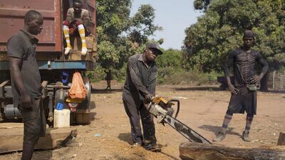 A worker cuts timber before loading it onto a container in Sintchan Companhe, Guinea. Joe Penney / Reuters