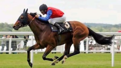 Energizer, to run in Group 2 Great Voltigeur Stakes at York, was the first German horse to win at Royal Ascot in June. Steven Cargill / Racingfotos.com