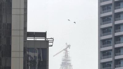 Fog engulfs the tall buildings around the Barsha Heights area of Dubai. Antonie Robertson / The National