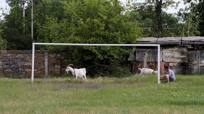 Goats walk near goalposts in the village of Pervomayskoye, Crimea. Pavel Rebrov / Reuters