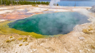 A geothermal pool in Yellowstone. The park has about half of the world’s hydrothermal features. Alamy
