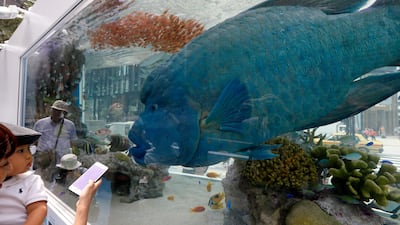 When it comes to marketing, be a big fish in a small pond. EPA