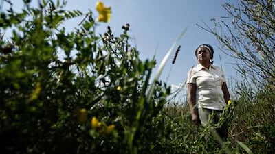 Hirut Abebe, who is setting up an archive of documents from the Red Terror: "People had moved on. They'd forgotten about that time. They wanted change. I was stuck, like time had never moved."