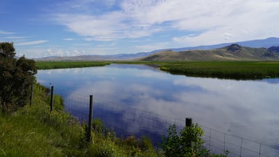The National Elk Refuge, outside the town of Jackson. Willy Lowry / The National