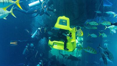 ourtesy Dubai Aquarium & Underwater Zoo
